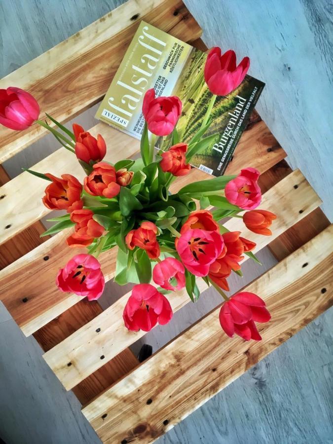 Elizabeth Garden Premium Apartment Kecskemet Luaran gambar